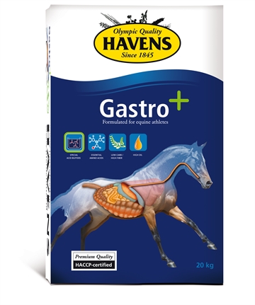 HAVENS Gastro+, 20 kg