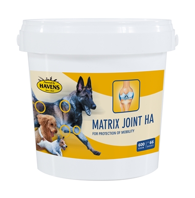 Matrix Joint HA Hund